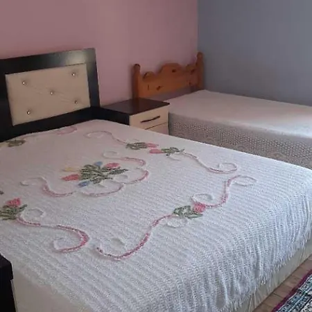 Konaku Zenelajt Tepelene
